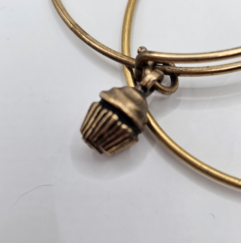 Alex And Ani Charm Bangle Bracelet, Set Of 3 - Picture 3 of 8